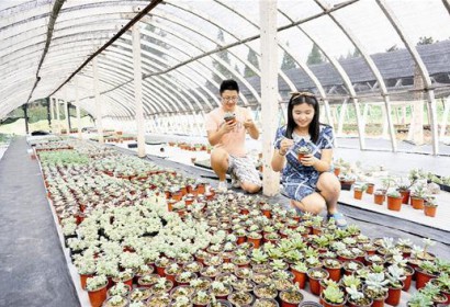 比利时很强?足坛第三大假象坐实 比英格兰还唬人